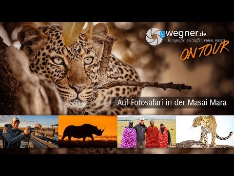 Auf Fotosafari in der Masai Mara