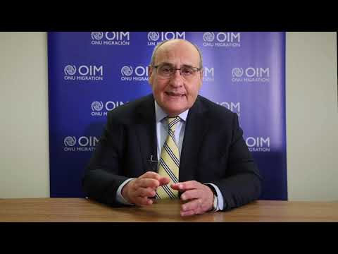 International Organization for Migration