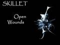 Open Wounds - Skillet 