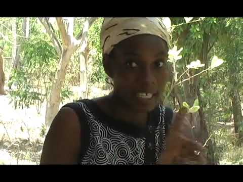 Twòp Pou Tè  2eme EPIZOD TCHAITI *FOBO*AREBO*KOKOYEWOLE*