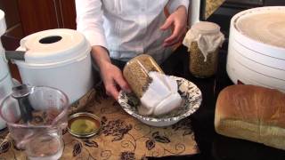 Sprouted Wheat Bread - Gluten Intolerant - Celiacs