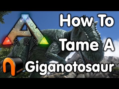 Ark - How To Tame A Giganotosaurus