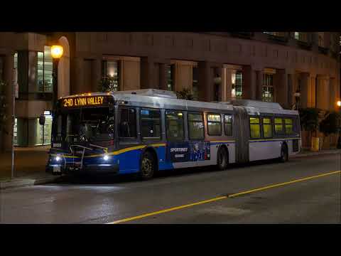 TransLink 2009 New Flyer DE60LFR - B8129