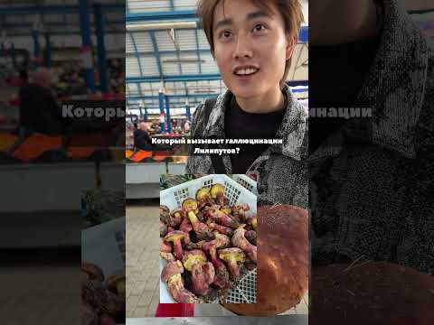 Заработок на грибах в Беларуси! Я БОГАТ?!🥹🔥