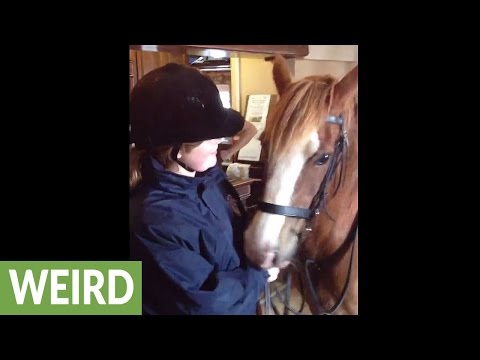 Woman brings her pony into a pub