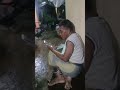 Vc Latah Lucu Jawa Versi Madura
