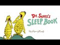 DR SEUSS S SLEEP BOOK Dr Seuss Read Aloud