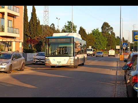 3208 STCP - MAN Lion's City NL313 CNG Caetanobus CityGold MAN 2KD - Linha / Line 705