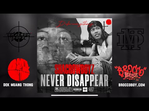 SHACROWBOII - NEVER DISAPPEAR - ( music audio )