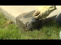 How to Repair Broken Concrete Steps with QUIKRETE