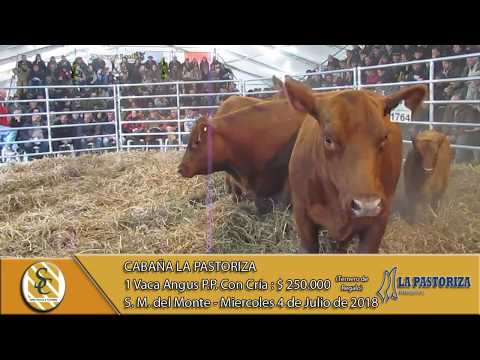 04-07-18 Venta de Vientres Angus PP - Cabaña La Pastoriza - San Miguel del Monte