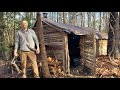 Camping in Log Cabin that I Built by Hand - Campfire Cooking & Bushcraft Projects