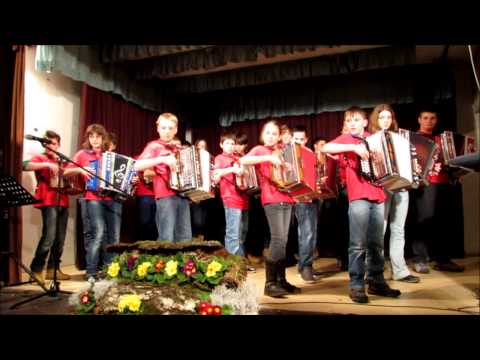 VESELO V KAMNIK-koncert orkestra harmonikarjev CiS