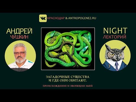 Андрей Чушкин. Загадочные существа и где они обитают. Происхождение и эволюция змей