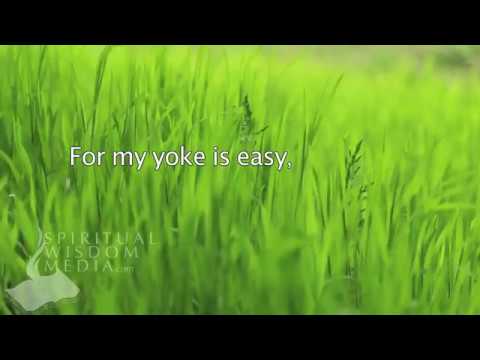 Thumbnail for The Yoke Is Easy video