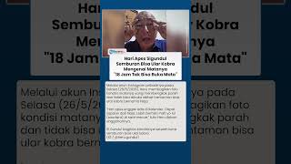 Hari Nahas Si Gundul! Matanya Kena Bisa Ular Kobra, Ini Kondisi Terbaru Usai Jalani Perawatan di ICU