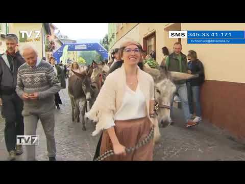 Autunno in Alpe Cimbra e viva la brava part - Tv7 con Voi 20/9/23 (2 di 3)