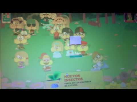 Los chetos  son buenos o malos parte 1