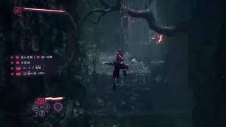 NINJA GAIDEN4　DLCハードのボス強いってー