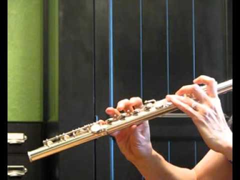 Alexander Eppler Handmade Flute (Used) - Demo High Register