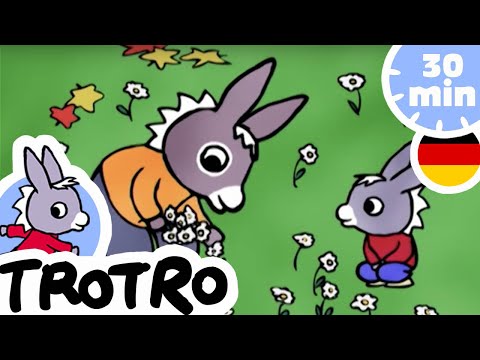 TROTRO DEUTSCH - Trotros Geschenk für Nana 🦋 - Kompilation #38