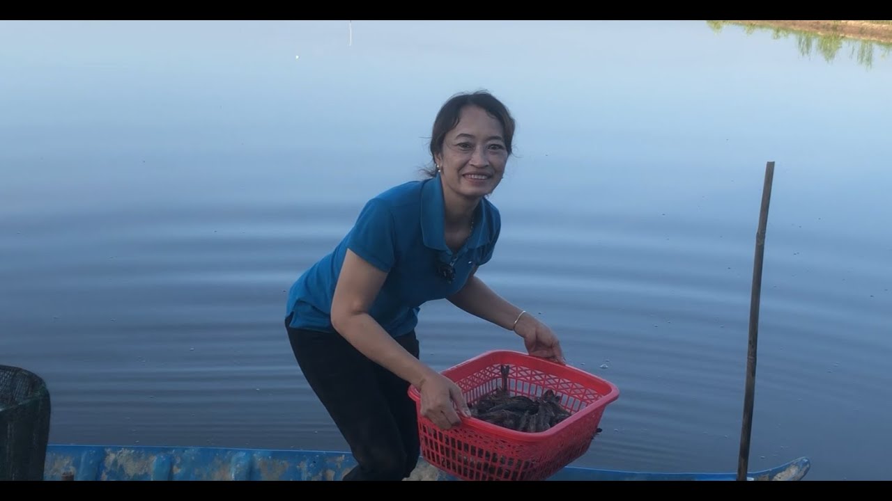 Minh Phu - Restoring the Mekong Delta with Rice-Shrimp Aquaculture
