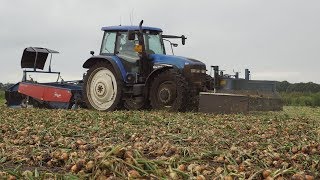 New Holland TM 120 Asa lift onions harvest