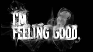 Robbie Pallasch - Feeling Good (Original Mix)