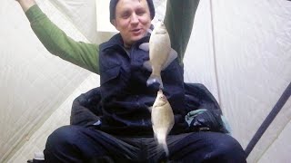 Рыбалка в костанайской области озеро речное