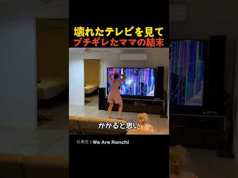 壊れたテレビを見てブチギレたママの結末