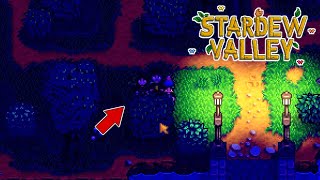 深夜の茂みでいちゃつく町長w【STARDEW VALLEY】♯61