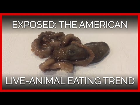 Served Alive: Inside the American Live-Animal Eating Trend