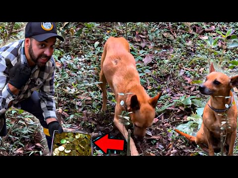 spark returns and sniffs shocking object!