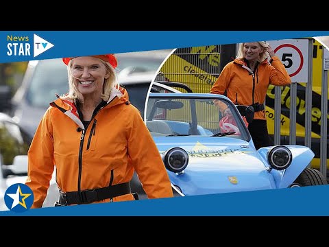 Anneka Rice, 63, dons ahard hat as she films the reboot Challenge Anneka in Teesside 331721