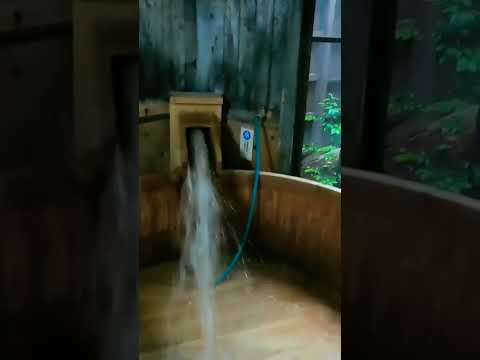 Onsen ( Hot Spring ) in Japan, Oita experience ! privat / Family Onsen #shorts
