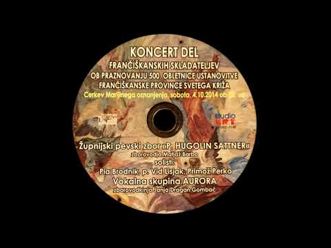 Zemlja in nebo žaluje (Hugolin Sattner)