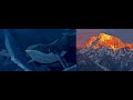 Various Artists- Essential Classical Masterworks for the Natural World