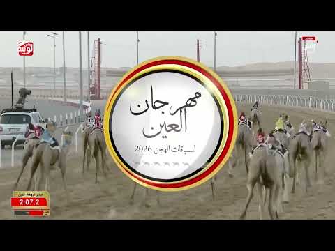ش 6 (مهابه) لـ عبدالله سالم بن حزيم الفلاسي 4:41:50 ، مهرجان العين 2026/08/05 لقايا الروضة