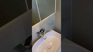 Preview of Surbiton bathroom and toilet merge.