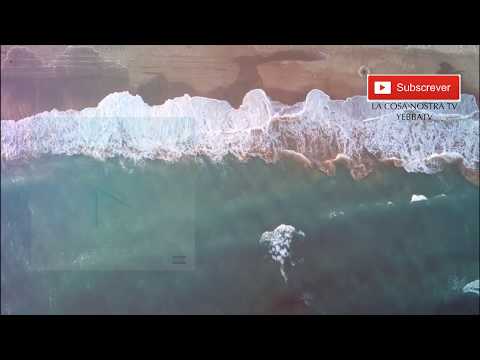 READY NEUTRO x CIRIUS x KS DRUMS - ADÃO & ERVA