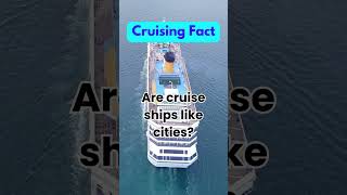 Are cruise ships like cities?#cruisefacts