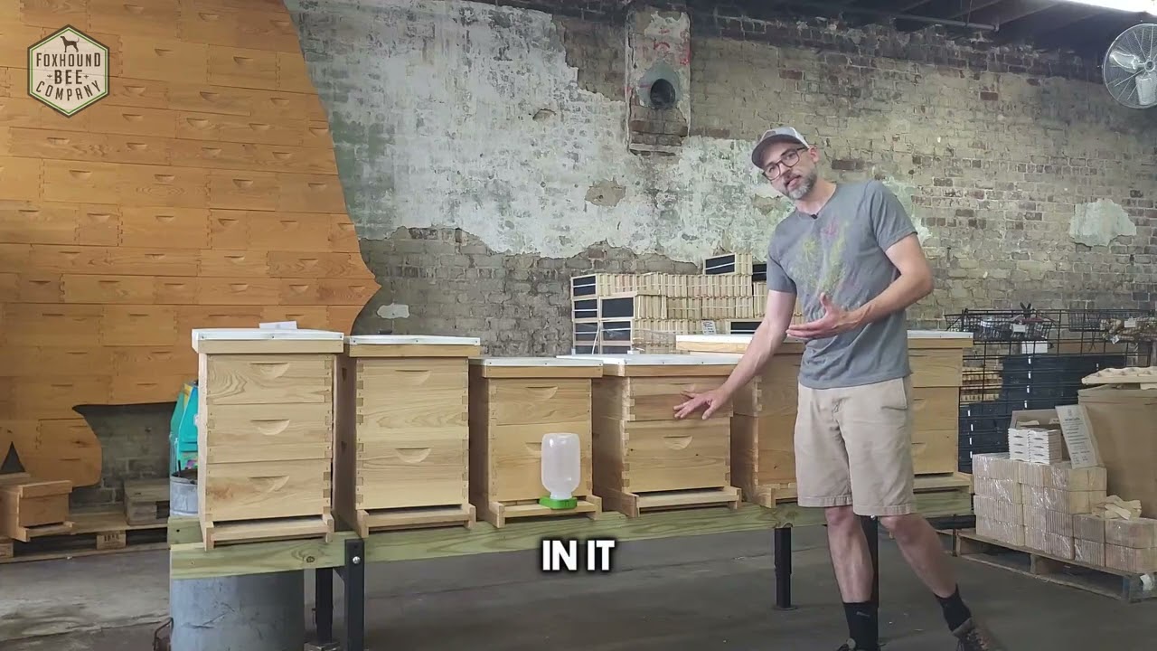 A Great Guide to Choosing Your First Beehive Setup - 8 or 10 frame? Deep or Medium Boxes?