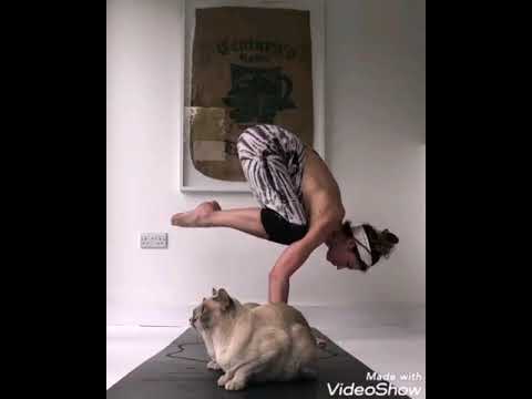 Yoga flow, flexibility, core workout,frog pose, contortion,Vol,1