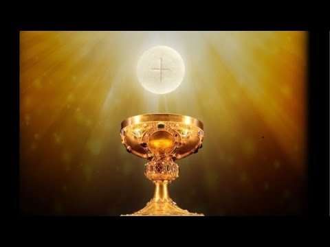 Fifth Sunday of Easter