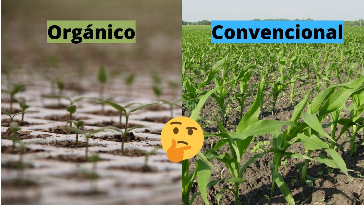 Agricultura orgánica vs convencional