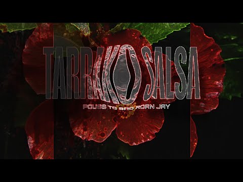 TARRAXO SALSA - #𝕽𝖔 𝖆𝖓 𝕵𝖆𝖞