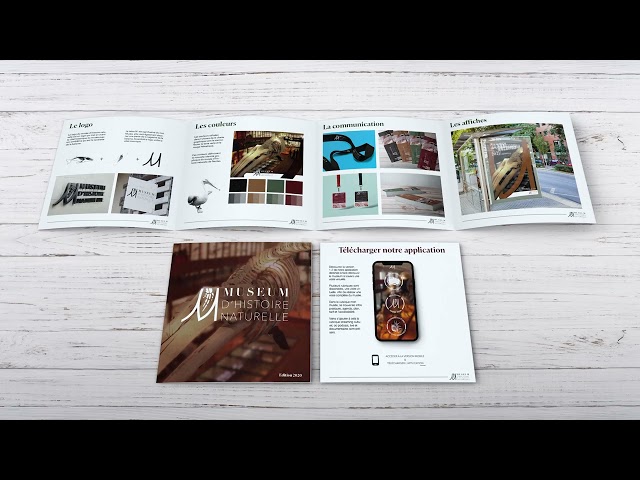 Projets CREA MASTERE V1