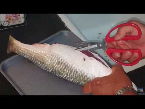 peshk qefull me veze 700 gram