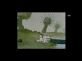 Bamse Och Vulkanutbrottet Del 11
