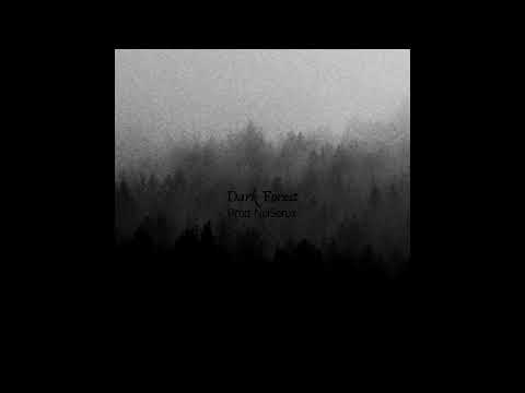 Dark Forest [Prod. NoiSerux]